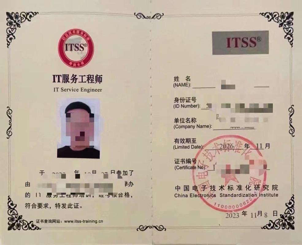 ITSS服务工程师视角下的应用软件服务 体系化保障与价值交付